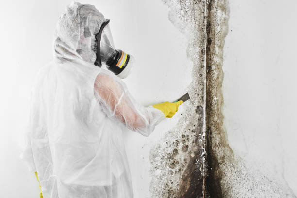 Sherwood, OH Mold Remediation Company